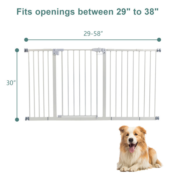 Tucker Murphy Pet™ Wall Mounted Pet Gate Wayfair